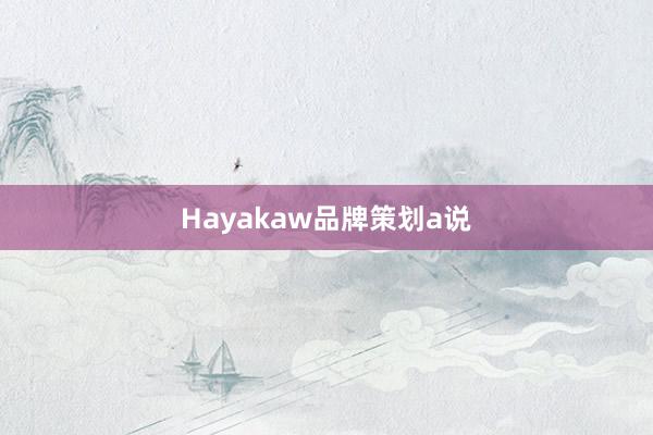 Hayakaw品牌策划a说